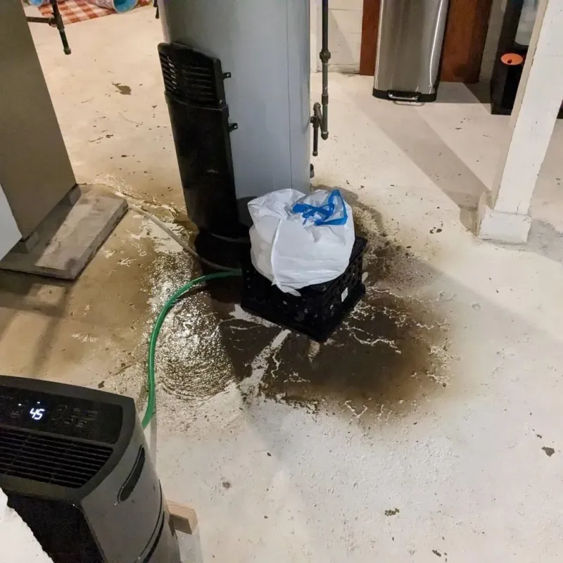 Sewage Backup Cleanup Service in Smoke Rise, AL